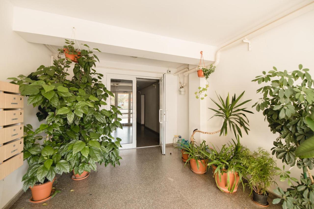 Oltului Apartment Μπρασόβ Εξωτερικό φωτογραφία